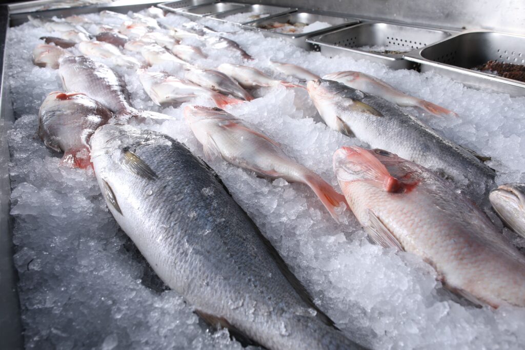 食品・水産卸売り業